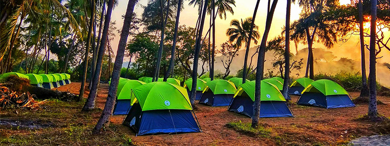 Top Camping sites in West